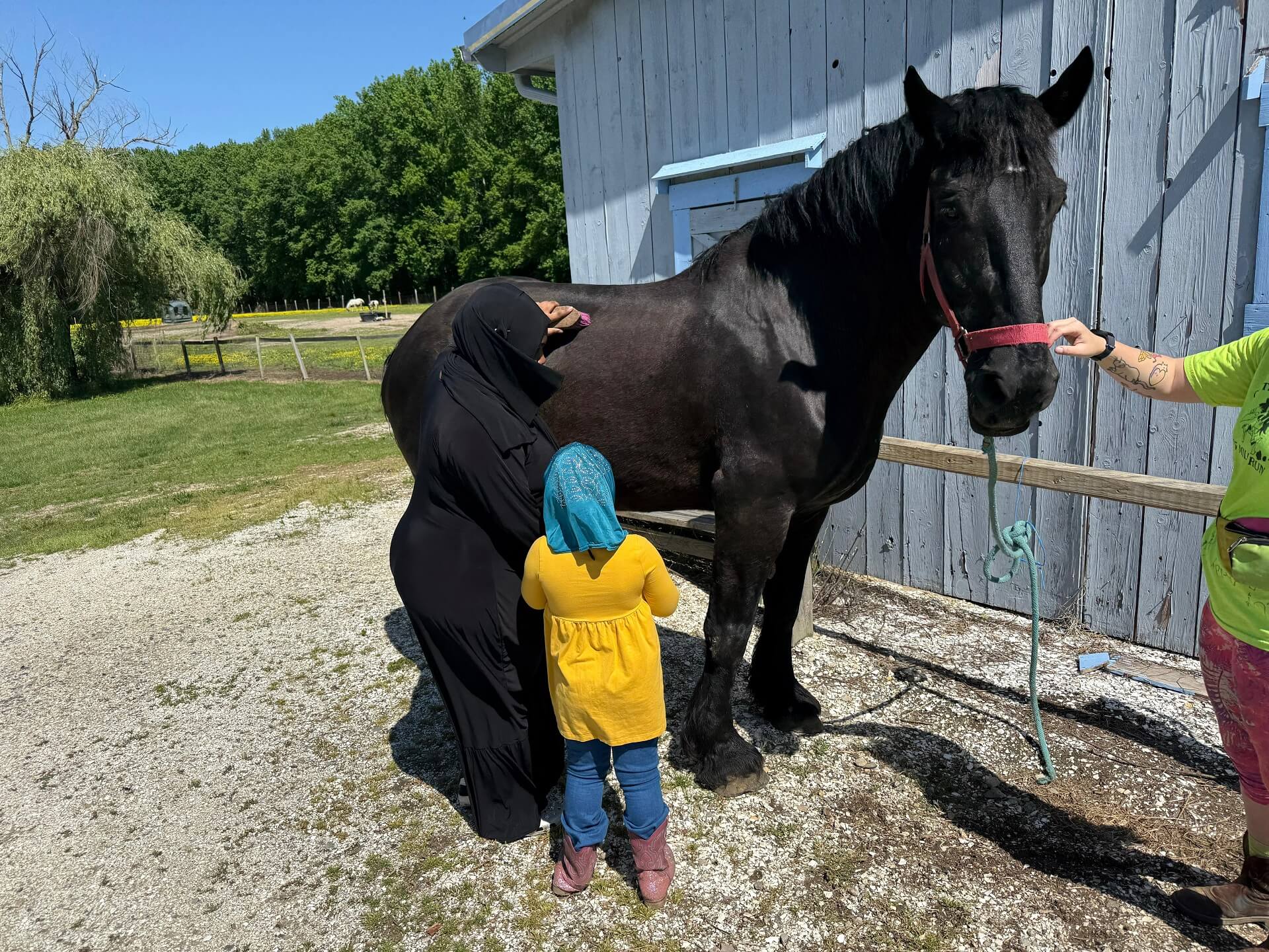 Boarders and horses bonding at Washington Way Farm